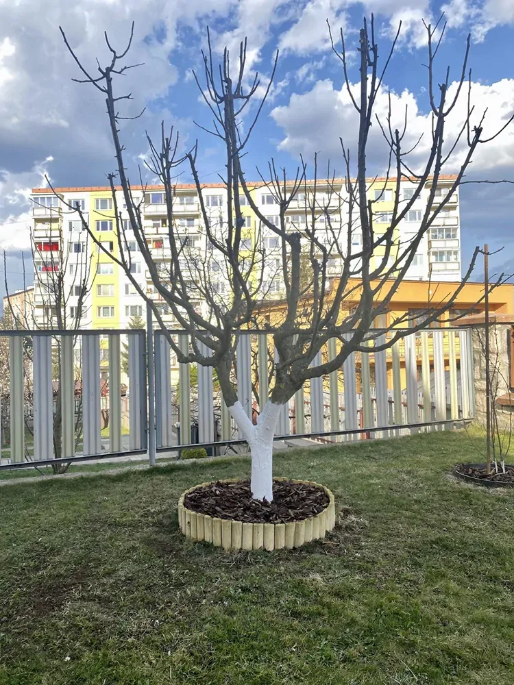 II. trieda - Drevený oddeľovač trávnika "Osfald" ø6 40x250cm