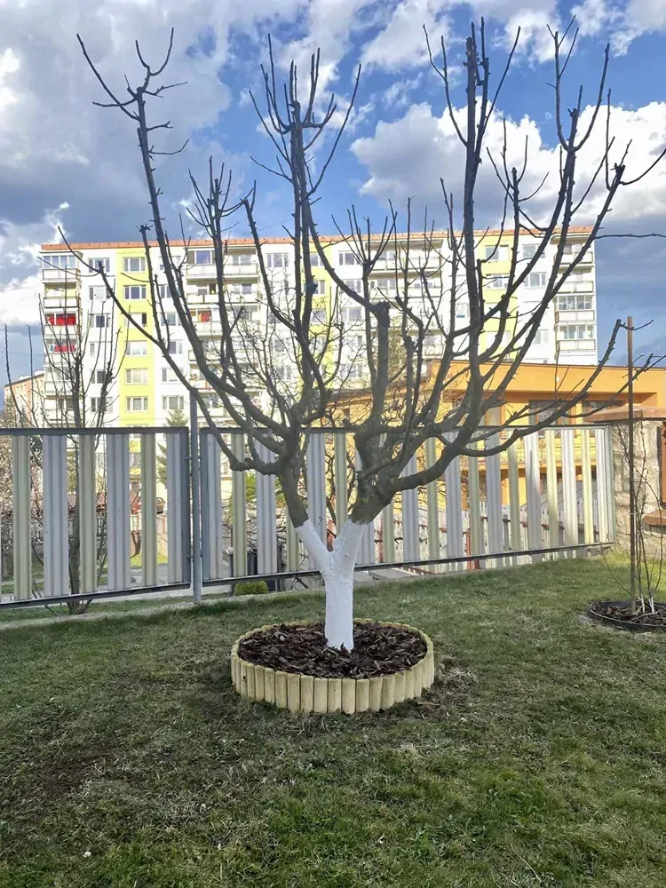 II. trieda - Drevený oddeľovač trávnika "Osfald" ø6 30x250cm