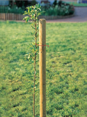 Balenie 56ks Kôl 240cm ø12 sušený impregnovaný
