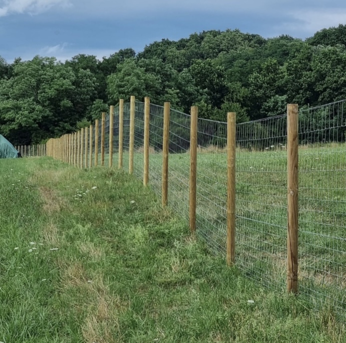 Balenie 99ks Kôl 270cm ø10 sušený impregnovaný