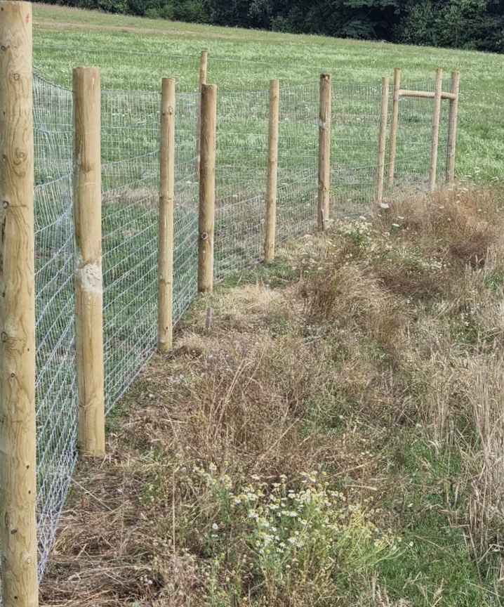Balenie 99ks Kôl 270cm ø10 sušený impregnovaný