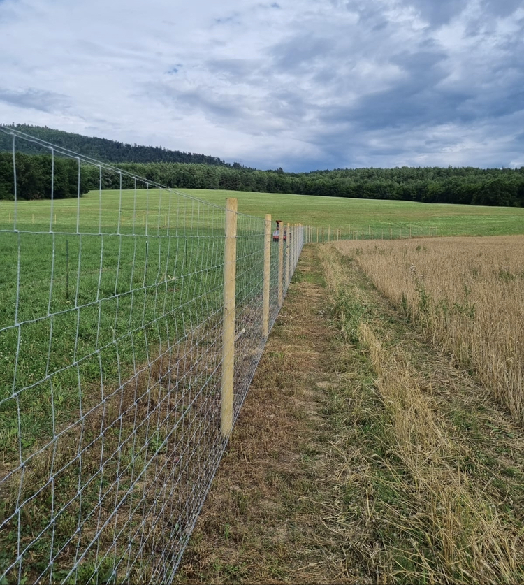 Balenie 99ks Kôl 270cm ø10 sušený impregnovaný