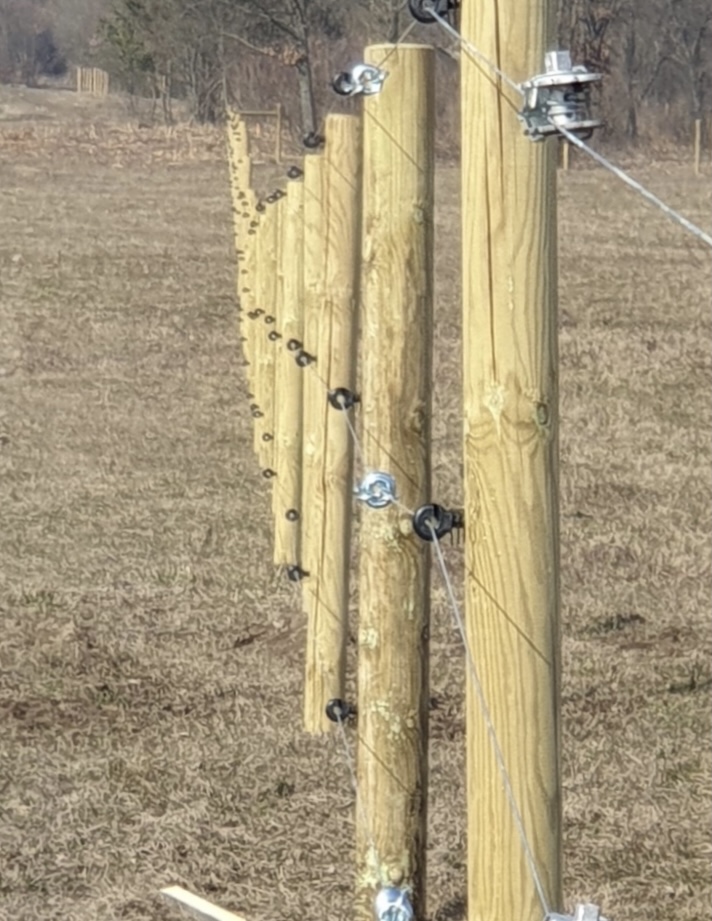 Balenie 99ks Kôl 210cm ø10 sušený impregnovaný