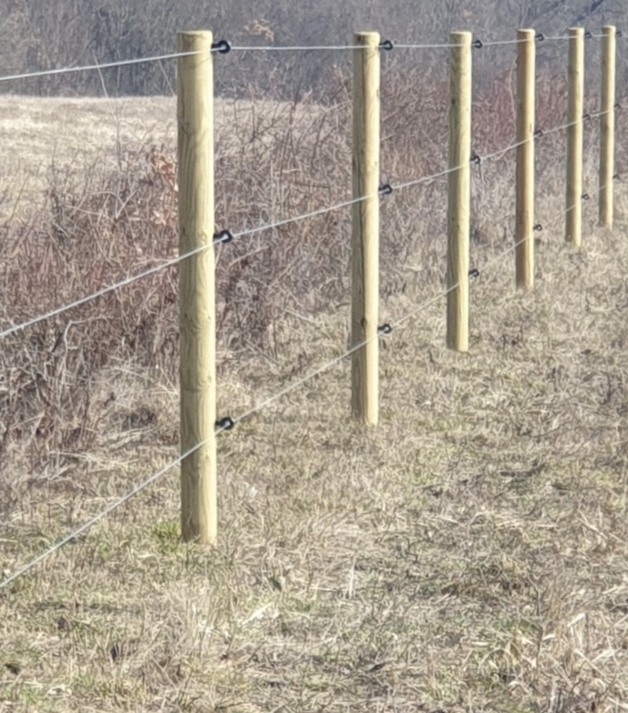Balenie 99ks Kôl 210cm ø10 sušený impregnovaný