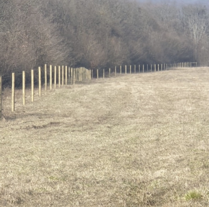Balenie 99ks Kôl 210cm ø10 sušený impregnovaný